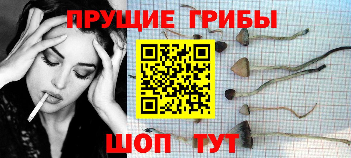 Псилоцибиновые грибы Psilocybine cubensis  Вход с VPN  что такое наркотик  Воркута 
